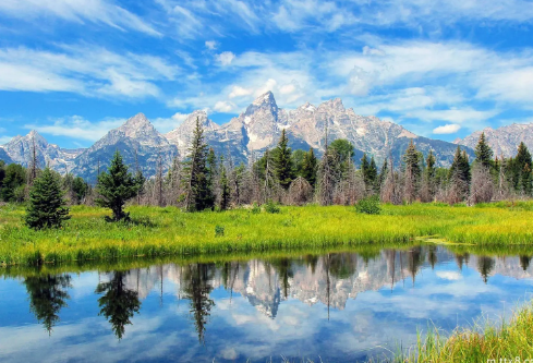 1700106572789336.png image.png