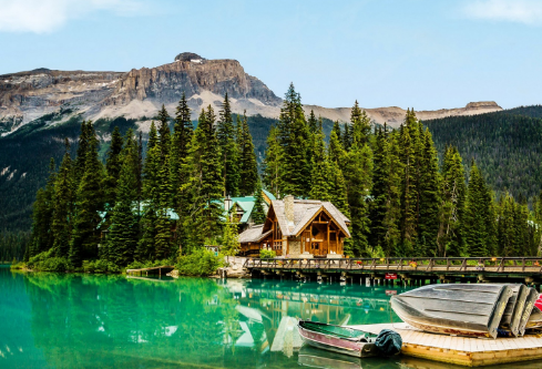 1700107237387815.png image.png