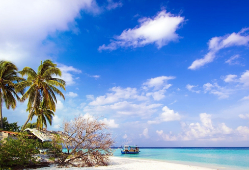 1700109232942191.png image.png