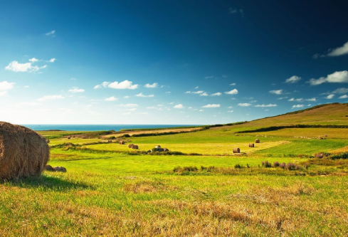 1700109565883737.png image.png