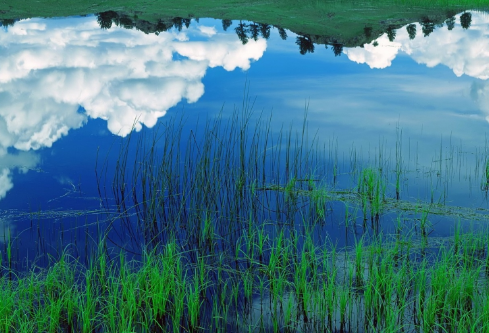 1700110896154561.png image.png