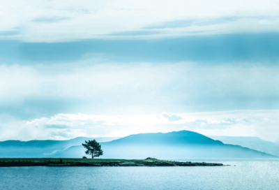 ​明英宗朱祁镇和张皇后之间的故事