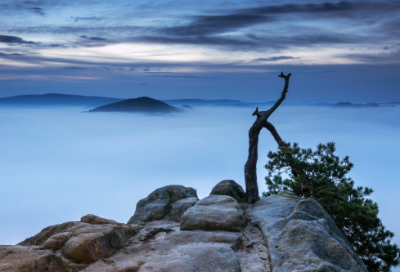 ​秦始皇鲜为人知的故事 秦始皇图片形象如何