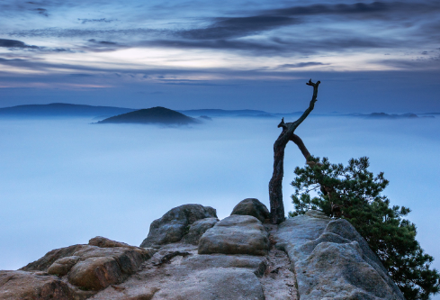 1700112390703513.png image.png