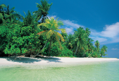 1700113386325390.png image.png