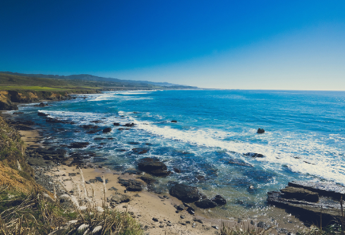 1700115544710724.png image.png