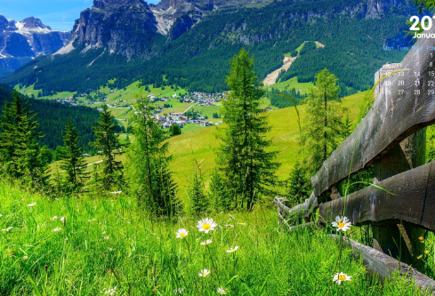 1700116041812150.png image.png