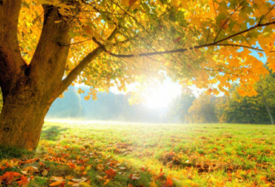 ​陈桥兵变时间介绍 陈桥兵变的故事分享