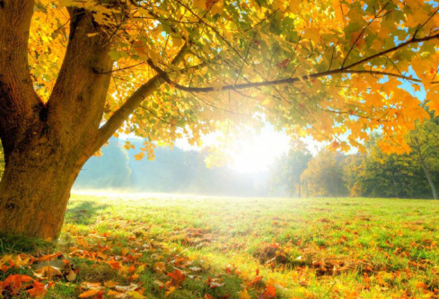 1700118198251133.png image.png