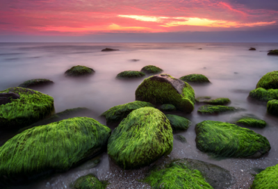 ​历史上感人的爱情故事短篇三则