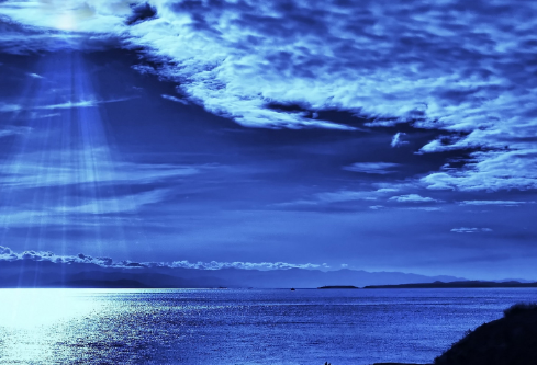 1700121018680822.png image.png