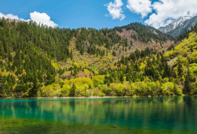 ​子产不毁乡校的故事是怎么样的