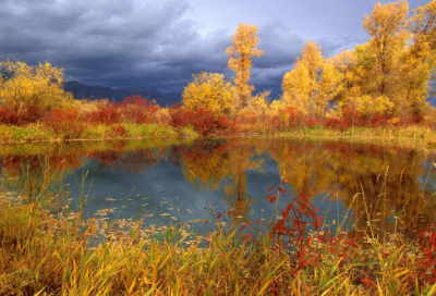 ​青面兽杨志负责押送生辰纲的故事