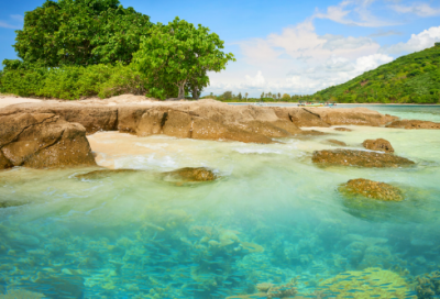 ​张仲景的故事,张仲景故事四则