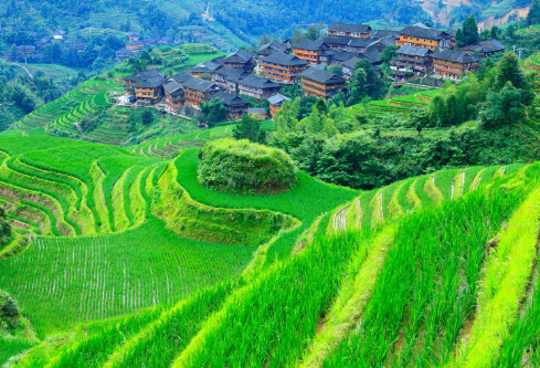 1700124833807727.png image.png