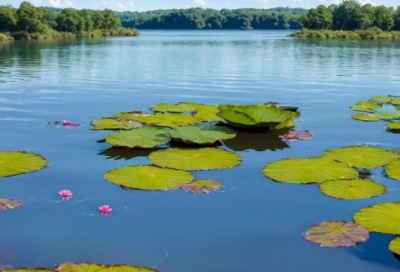 ​邵雍简介 邵雍故事分享