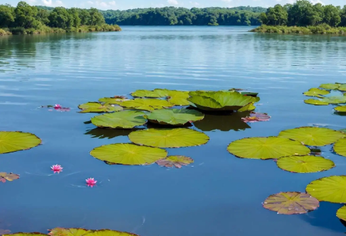 1700124998512945.png image.png