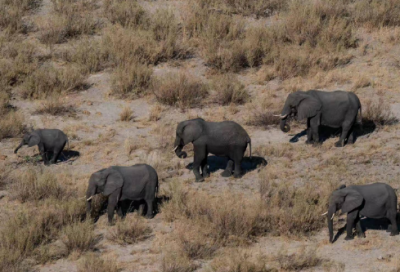 ​抗日英雄李爱民的故事