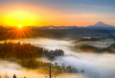 ​苦肉计的故事