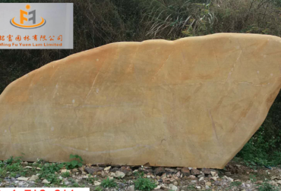 ​有趣的科学故事大全集精选