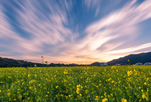 1700128315298428.png image.png