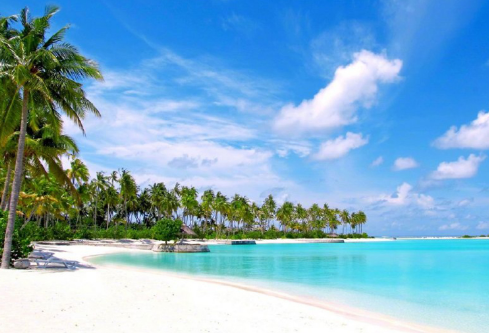 1700128980404982.png image.png