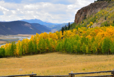 ​齐宣王为大室荒废政事 香居力谏齐宣王的故事