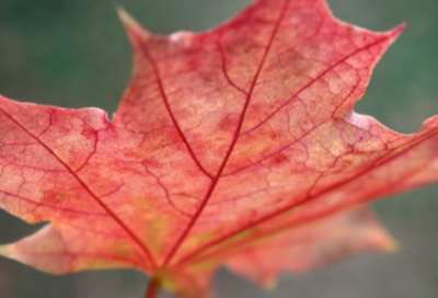 ​关于智多星吴用的故事