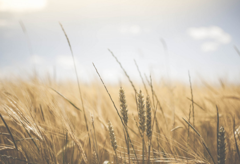 1702699123529538.png image.png