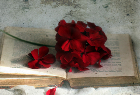 1702699787413857.png image.png