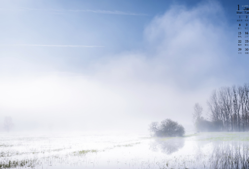 1702700285968973.png image.png