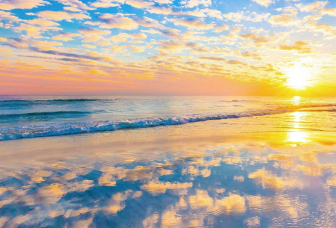 1702701115630572.png image.png