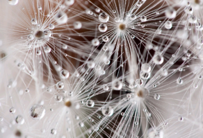 ​王翦和白起谁厉害 白起和王翦的故事