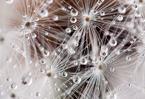 1702701281778777.png image.png