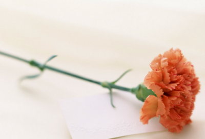 ​尧舜禹距今多少年 尧舜禹的故事解读