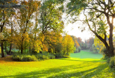 ​狄更斯钓鱼发生什么故事 狄更斯钓鱼被罚款了吗