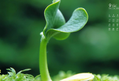 ​有趣的数学小故事50字