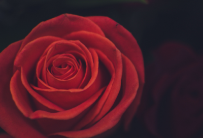 ​最上义光的故事分享