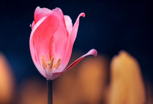 1702705925851684.png image.png