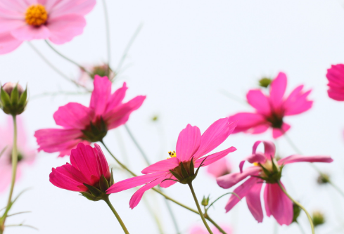 1702706257123642.png image.png