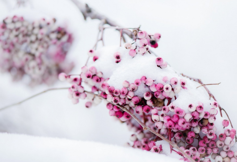 1702706589449702.png image.png