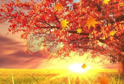 ​汉朝大将韩信分油的故事揭秘