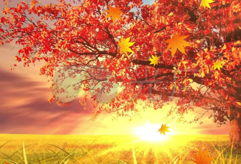 1702707087638905.png image.png