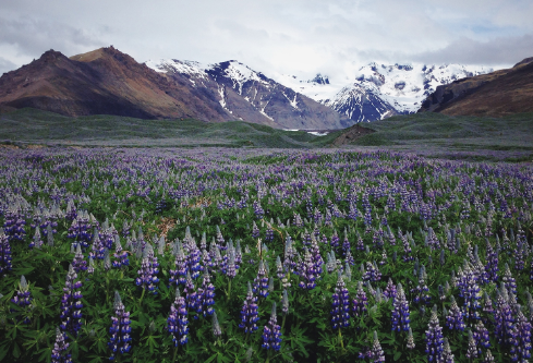 1702708581148009.png image.png