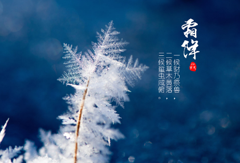 1702709410570197.png image.png