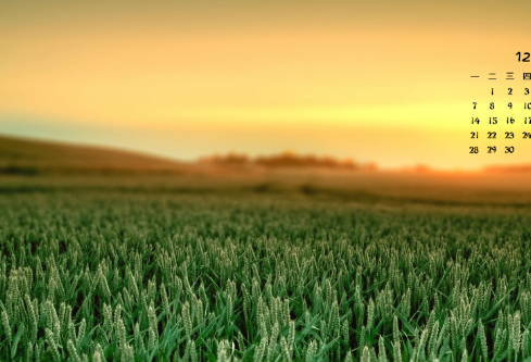 1702710074614257.png image.png