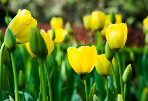 1702710240749280.png image.png