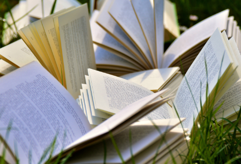 1702710738613642.png image.png