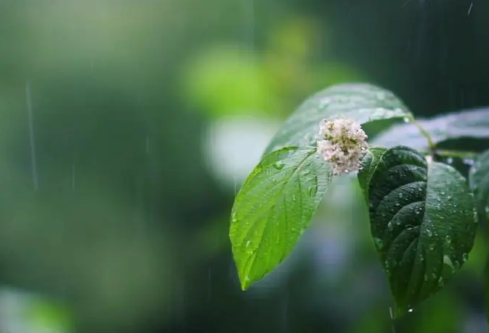 1702711402918205.png image.png