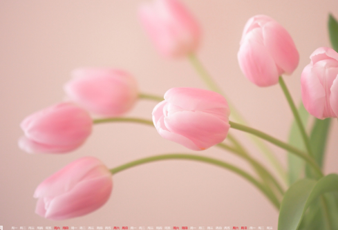 1702711568691836.png image.png